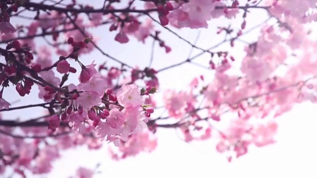 Fan di FENDI Blossom: o frasco