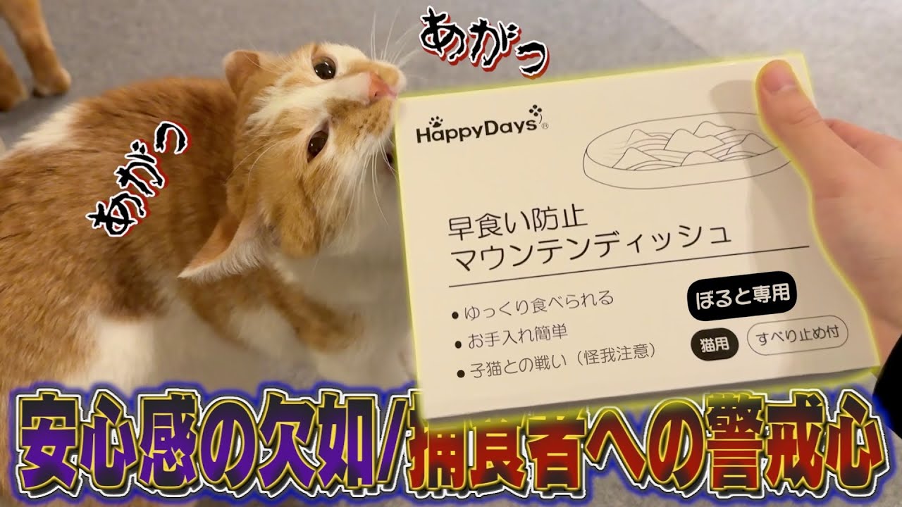 生後9ヶ月の食欲お化けのためにとある対策を試みたら効果抜群でした！