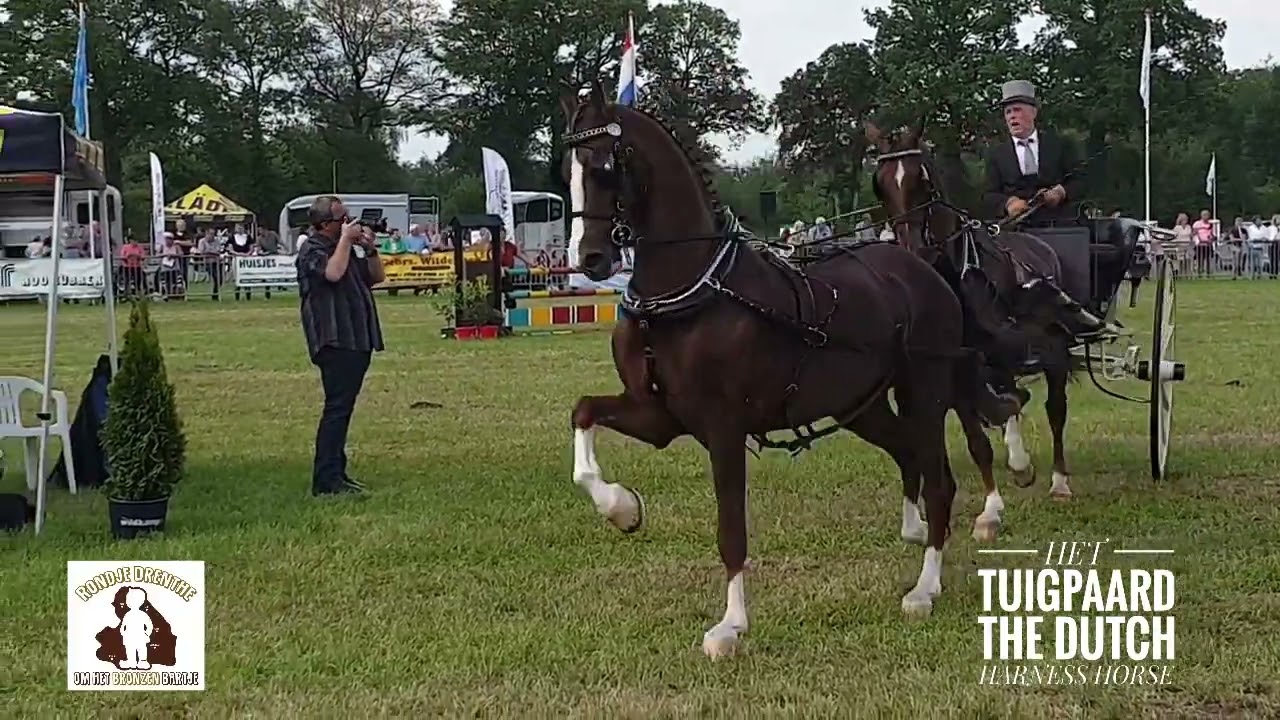 Derk Jan Mekkes wint Rondje Drenthe om het Bronzen Bartje, CH De Wijk 2024