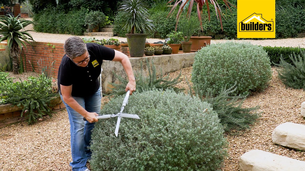 How To Trim Your Hedges With The Garden Master Hedge Shears