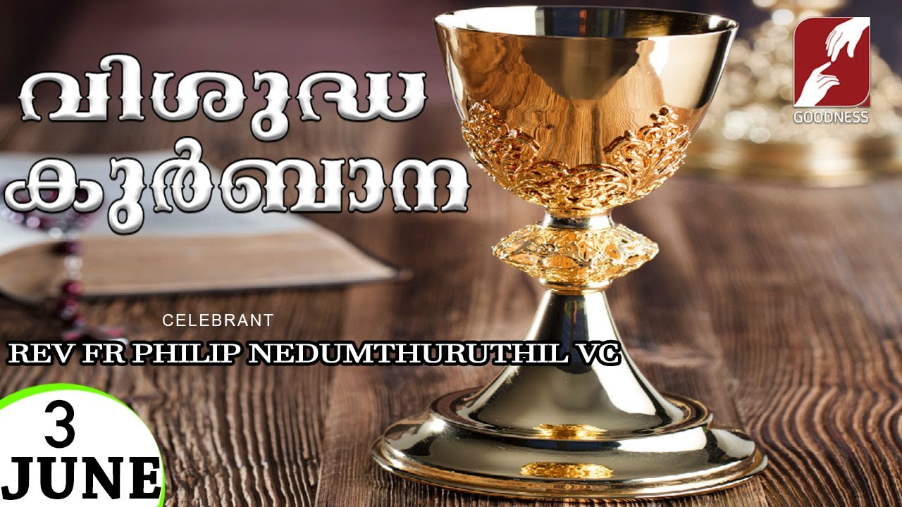 HOLY MASS LIVE @6 AM,3 JUN 2024|FR PHILIP NEDUMTHURUTHIL VC|MALAYALAM QURBANA|TODAY MASS|GOODNESS TV