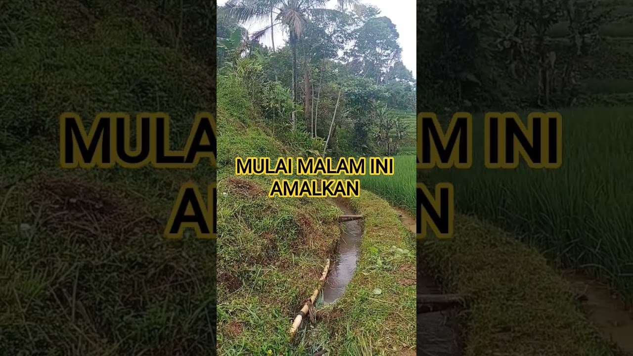 MULAI MALAM INI AMALKAN 