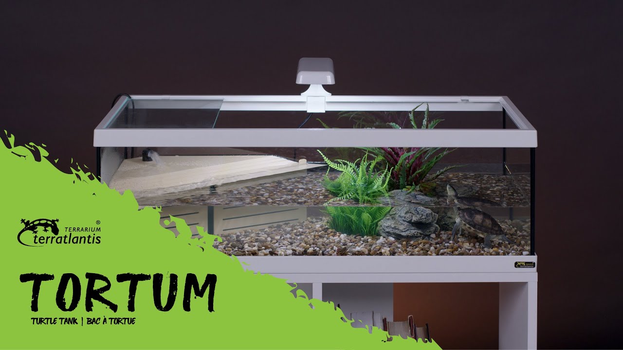 TORTUM &ndash; Terratlantis Terrarium (by Aquatlantis)