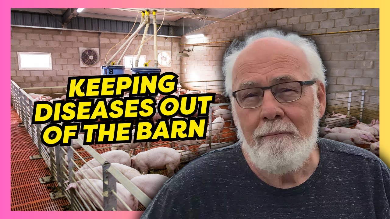 Dr. Robert Friendship: Strategies for Swine Health