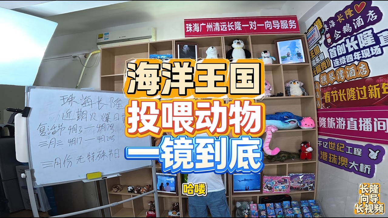 珠海长隆海洋王国喂动物大全实拍攻略长视频海狮，水獭，鳐鱼，海象带小朋友来玩必看！
