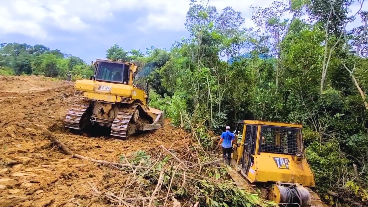 The Perfect Skill Dozer Operator Breaks Down a Lot of Huge Trees Easily Using CAT D6G Bulldozer