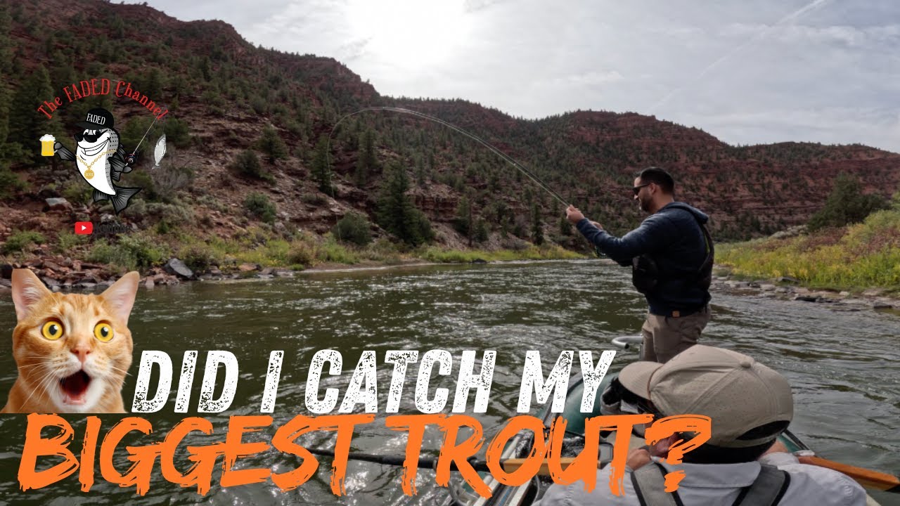 Ловля рыбы нахлыстом по реке Колорадо — прекрасная страна!