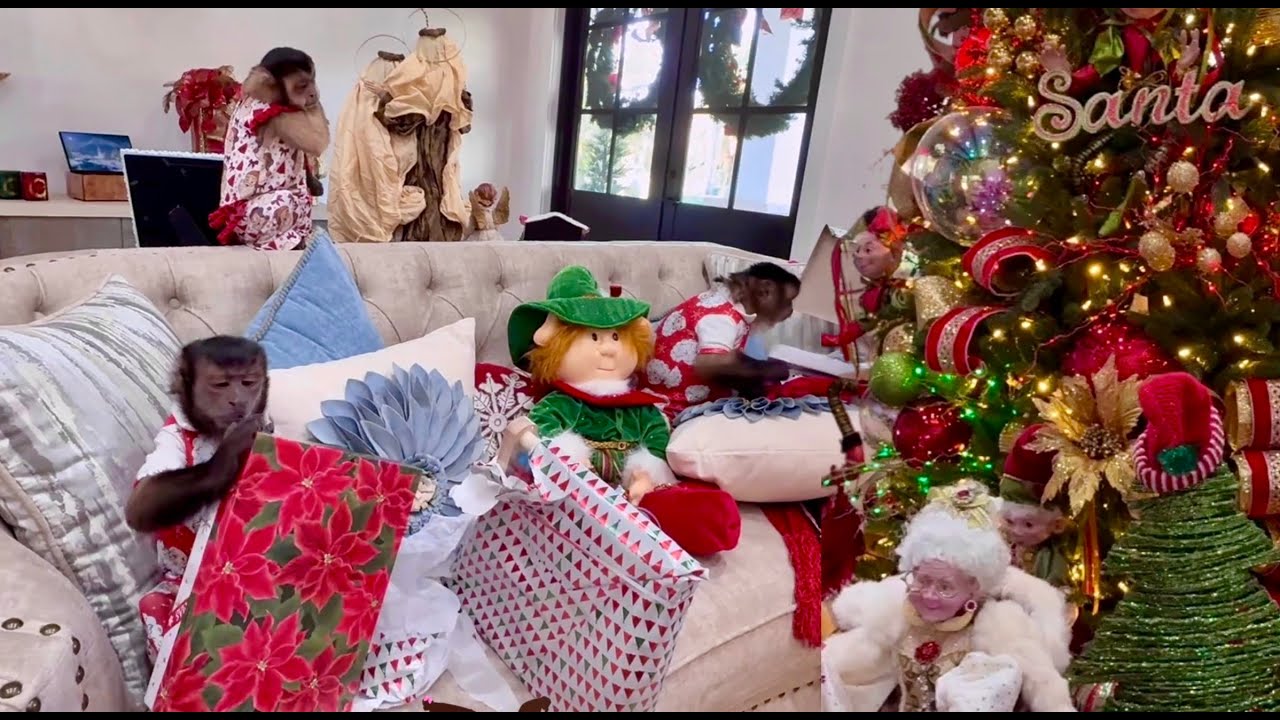 Обезьяны открывают рождественские подарки 🎁 🎄