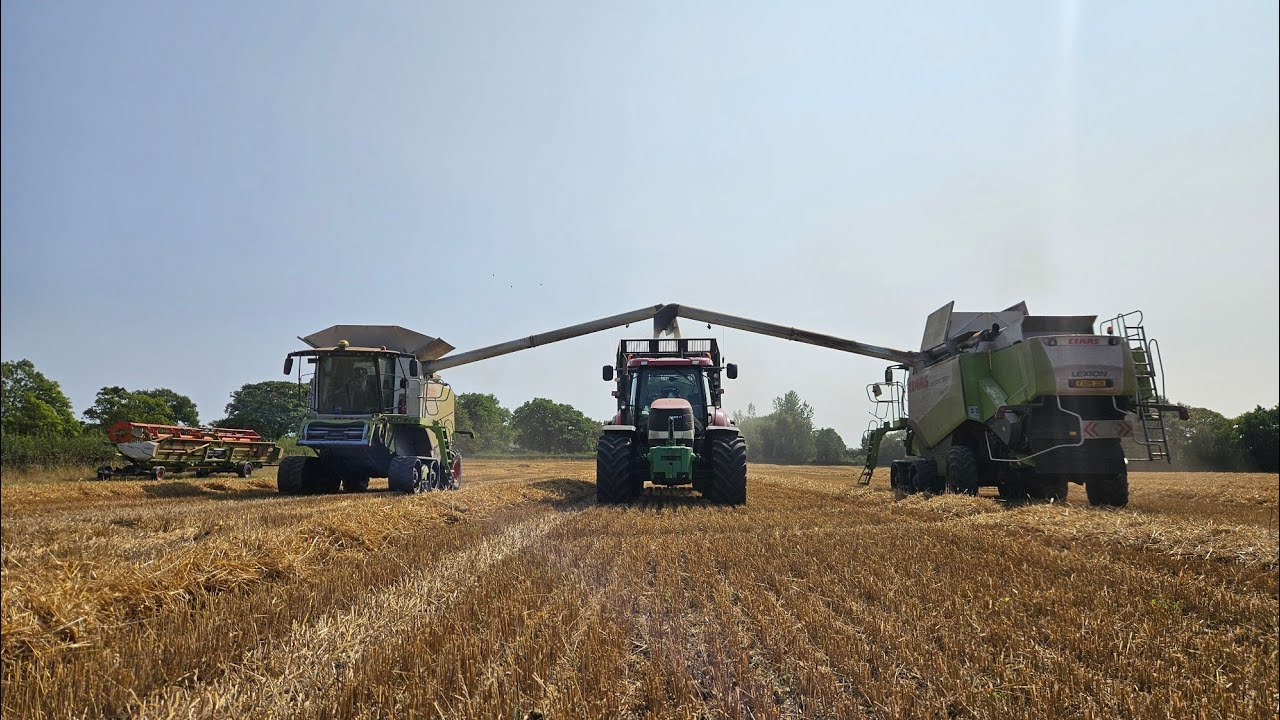 Harvest 2025 is done