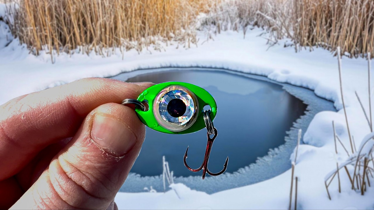 Fishing With A BATTERY Powered Lure!!! (FIRST One EVER!)