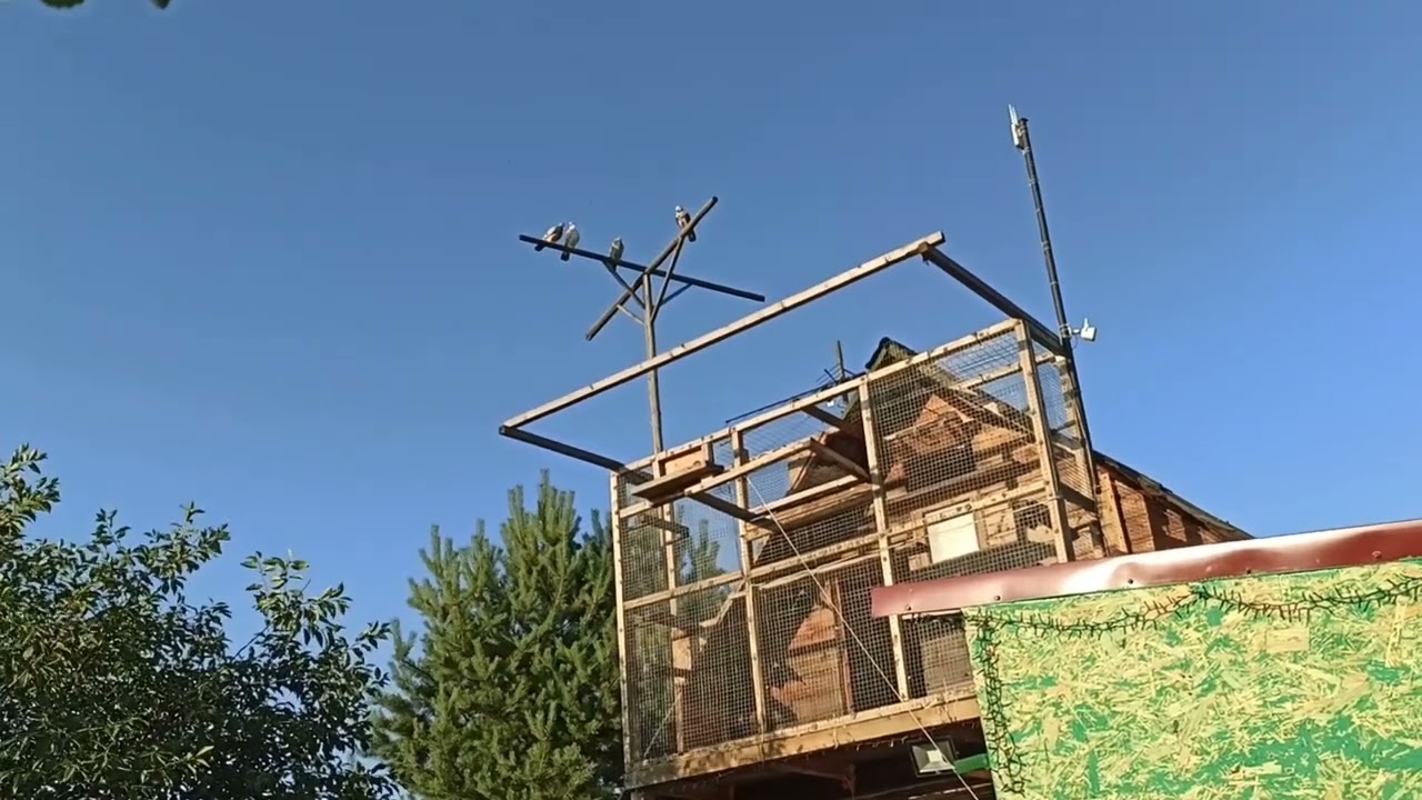 Типплеры 02.07.2023г.