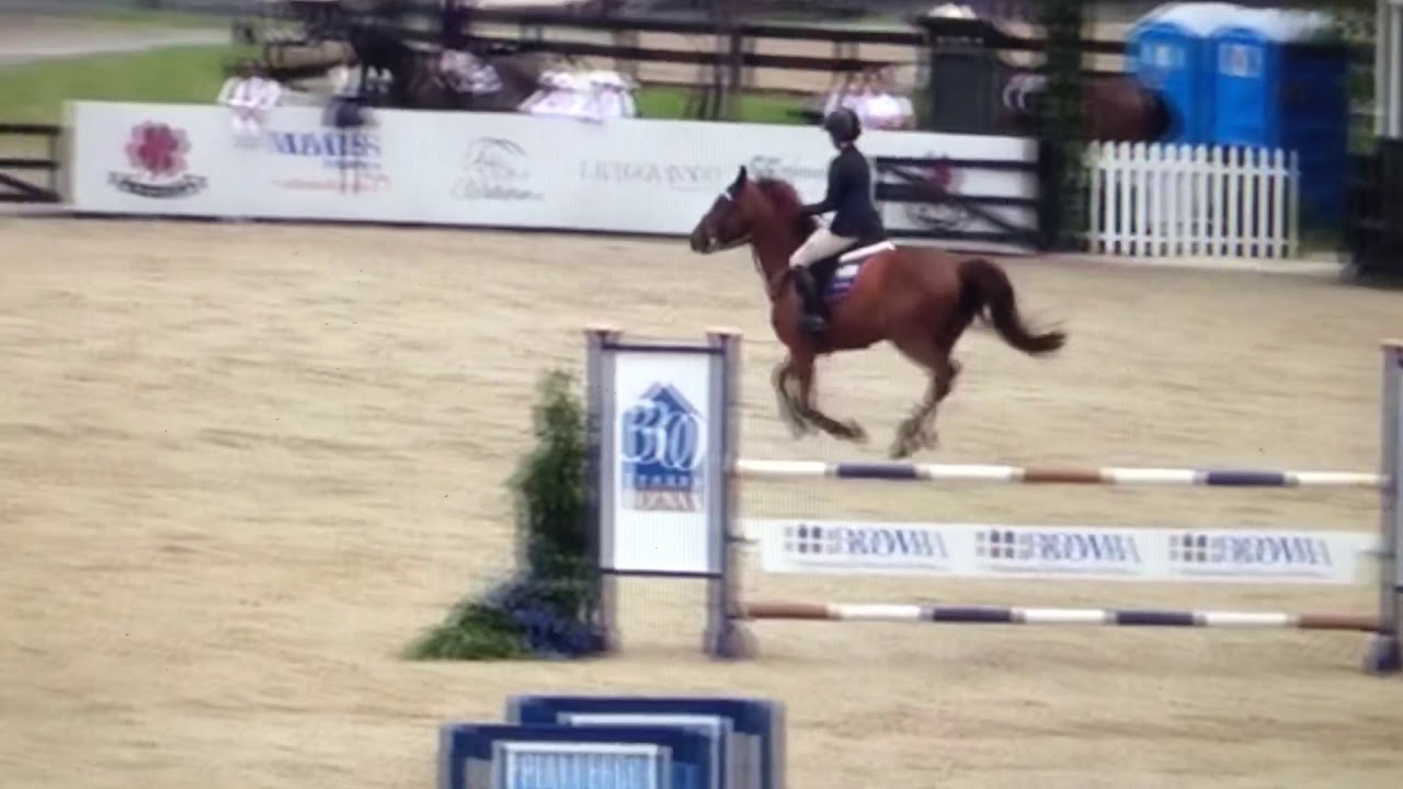 Gummi Van Oz - low jr jumper @ Upperville