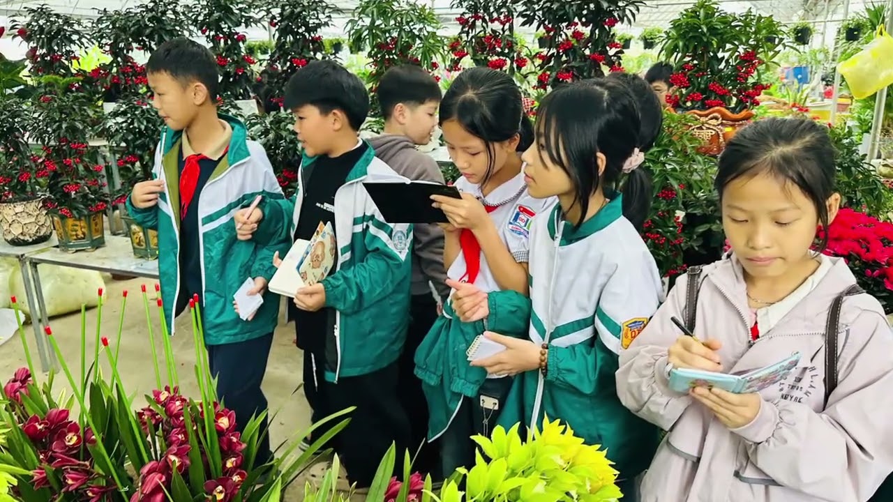 Học sinh khối 4+5 Trường Tiểu học Dĩnh Trì trải nghiệm tại cánh đồng rau, hoa TDP Núi,