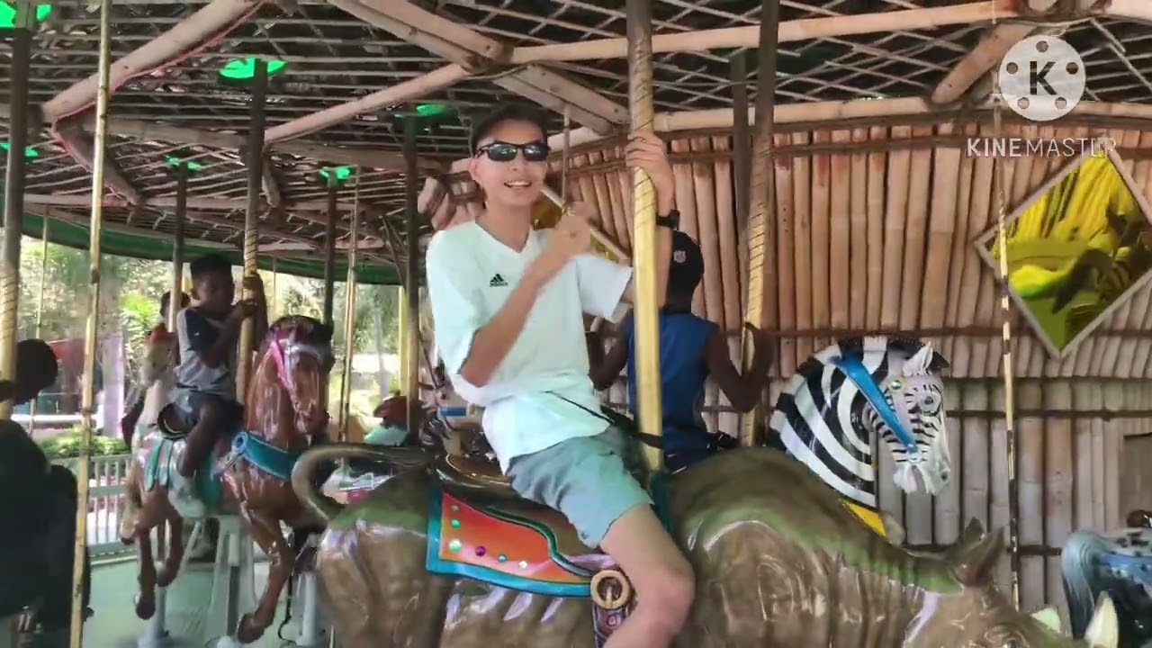 Zoo Tampa Merry Go Round Ride