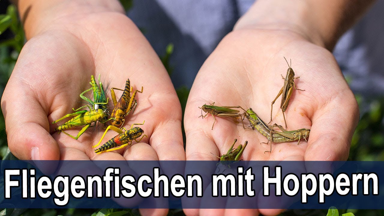 Fliegenfischen auf Forelle mit Grashüpfern  / Fly Fishing for trout with Hopper Flies