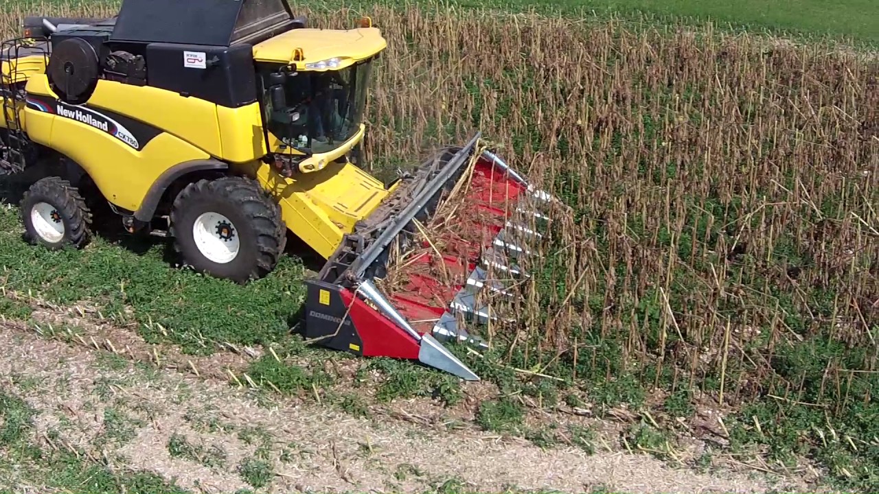 TOP SUN DOMINONI NEW HOLLAND ALLETTATO (2)
