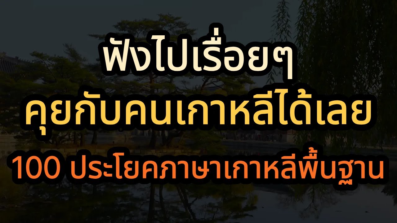 ภาษาเกาหลี 100 ประโยค | สนามบิน ฟังไปเรื่อยๆ จำง่าย ใช้ได้จริง