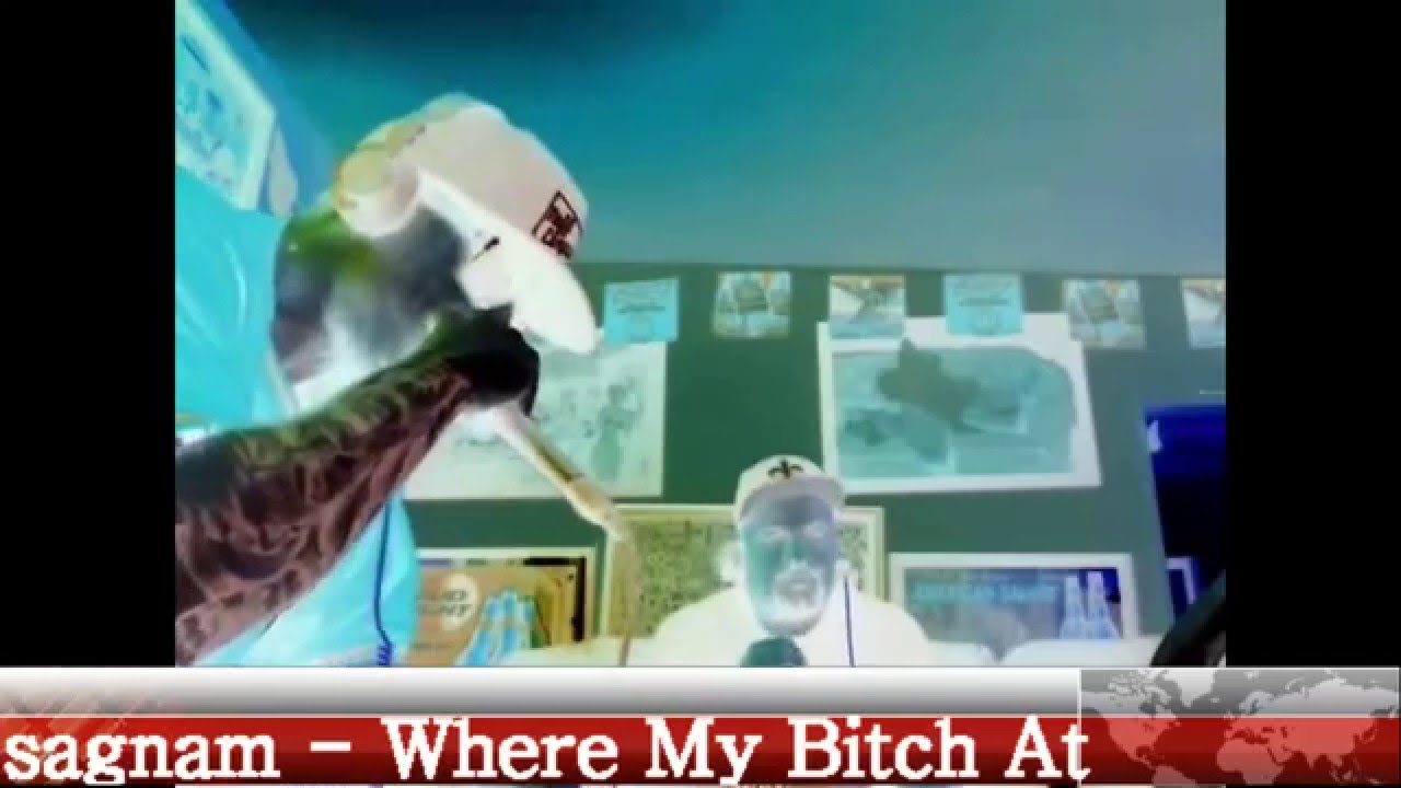 Sagnam feat. C400 - Where My Bitch At [Official Video] (FREESTYLE)