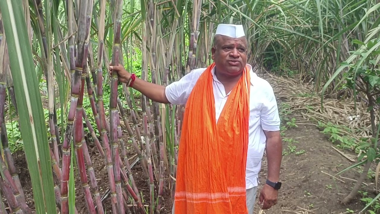 नाना ऊस तंत्रज्ञान -मो -7350509696