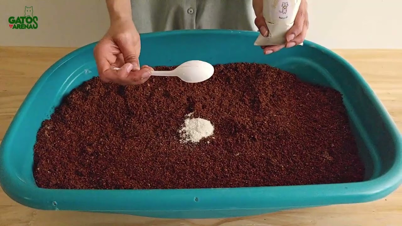 Arena ecológica para gatos (Coco)