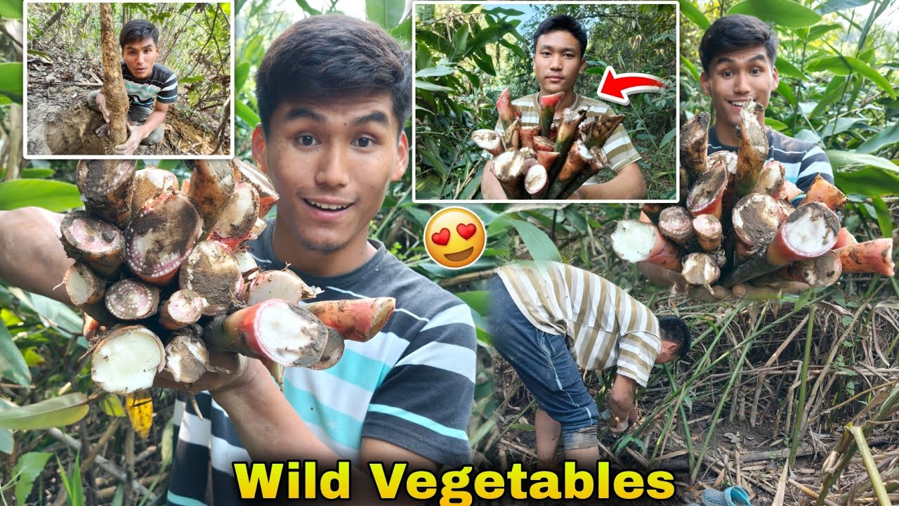 Collecting Wild Vegetables From Tripura Jungle || Bamboo For Fishing 