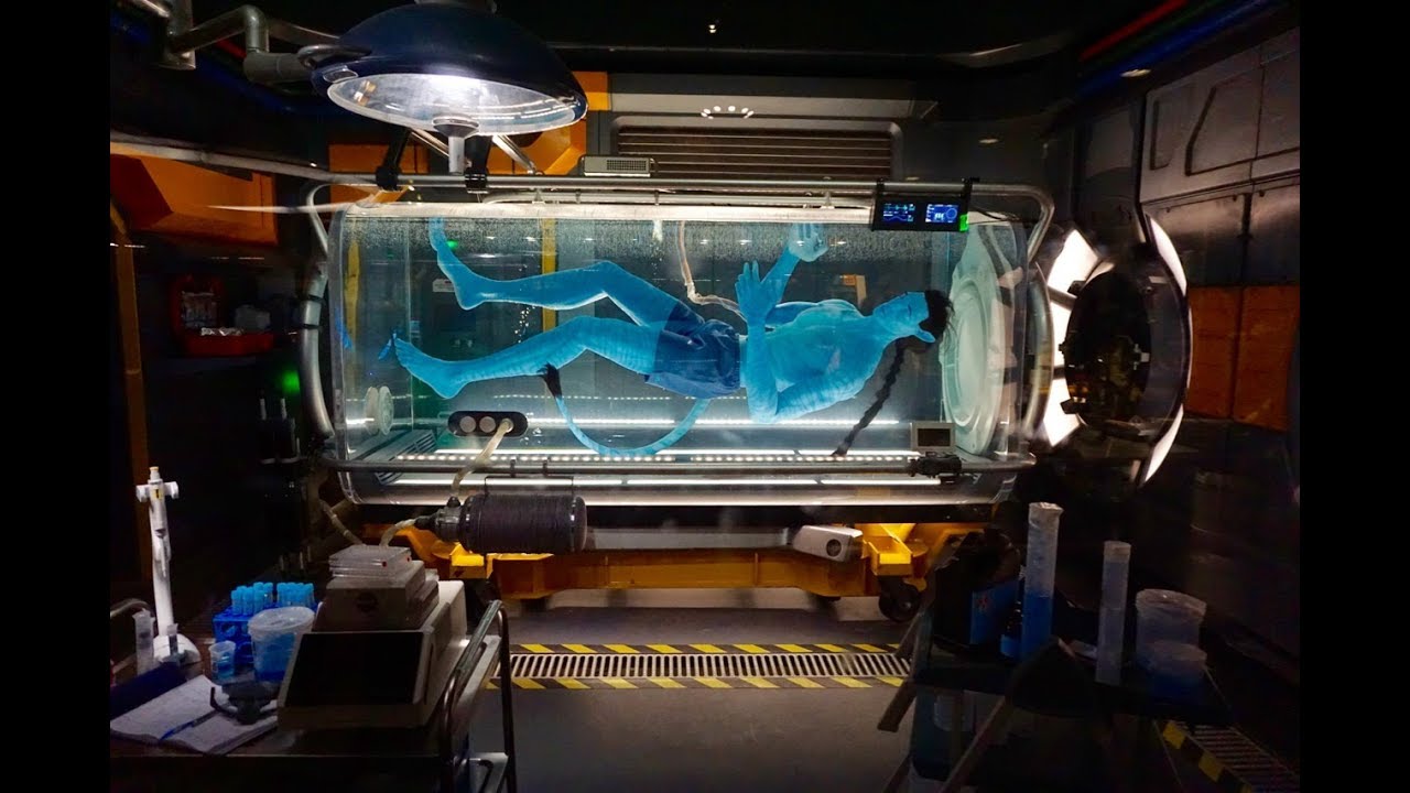 Cant Believe This Disney Ride!!