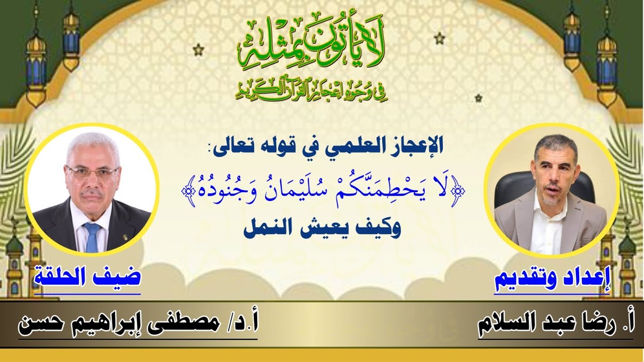 الإعجاز العلمي في قوله تعالى: ﴿لا يحطمنكم سليمان وجنوده﴾ وكيف يعيش النمل