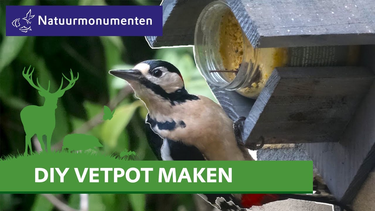 Vetpot maken voor vogels