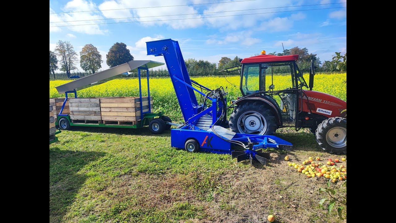 Zbiór mechaniczny jabłek przemysłowych  . Kombajn do Jabłek. Agrifarm