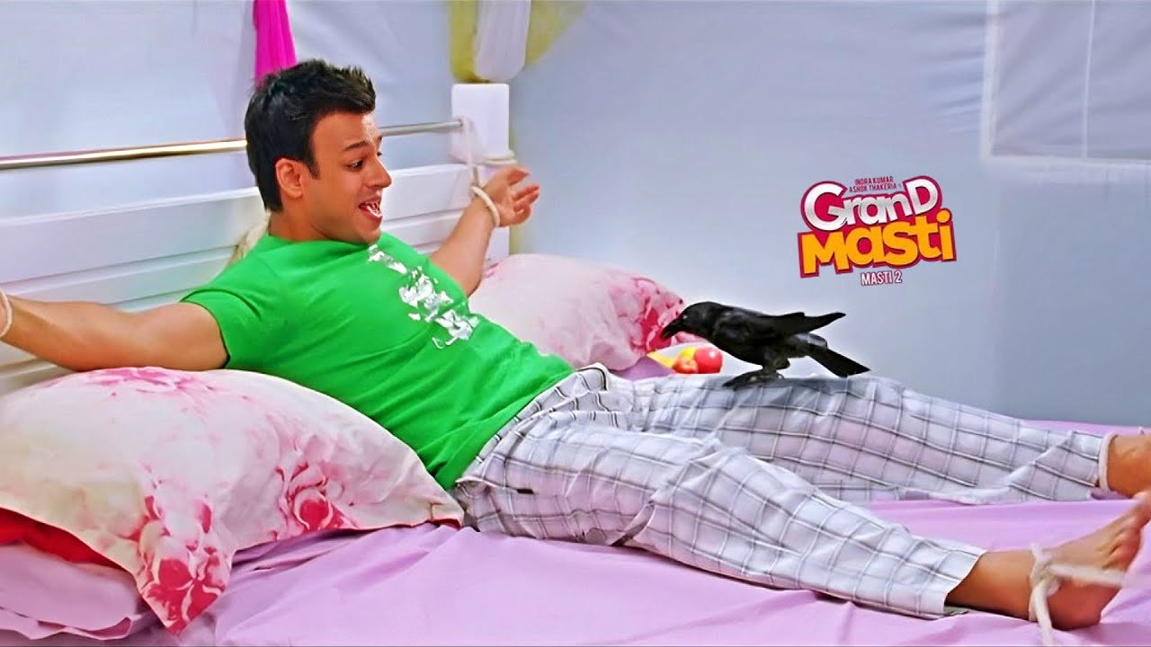 अरे कौआ राजा वहा पे चोंच मत मारना, में अभी तक बाप भी नहीं बना हूँ - Grand Masti हिलेरियस कॉमेडी सीन