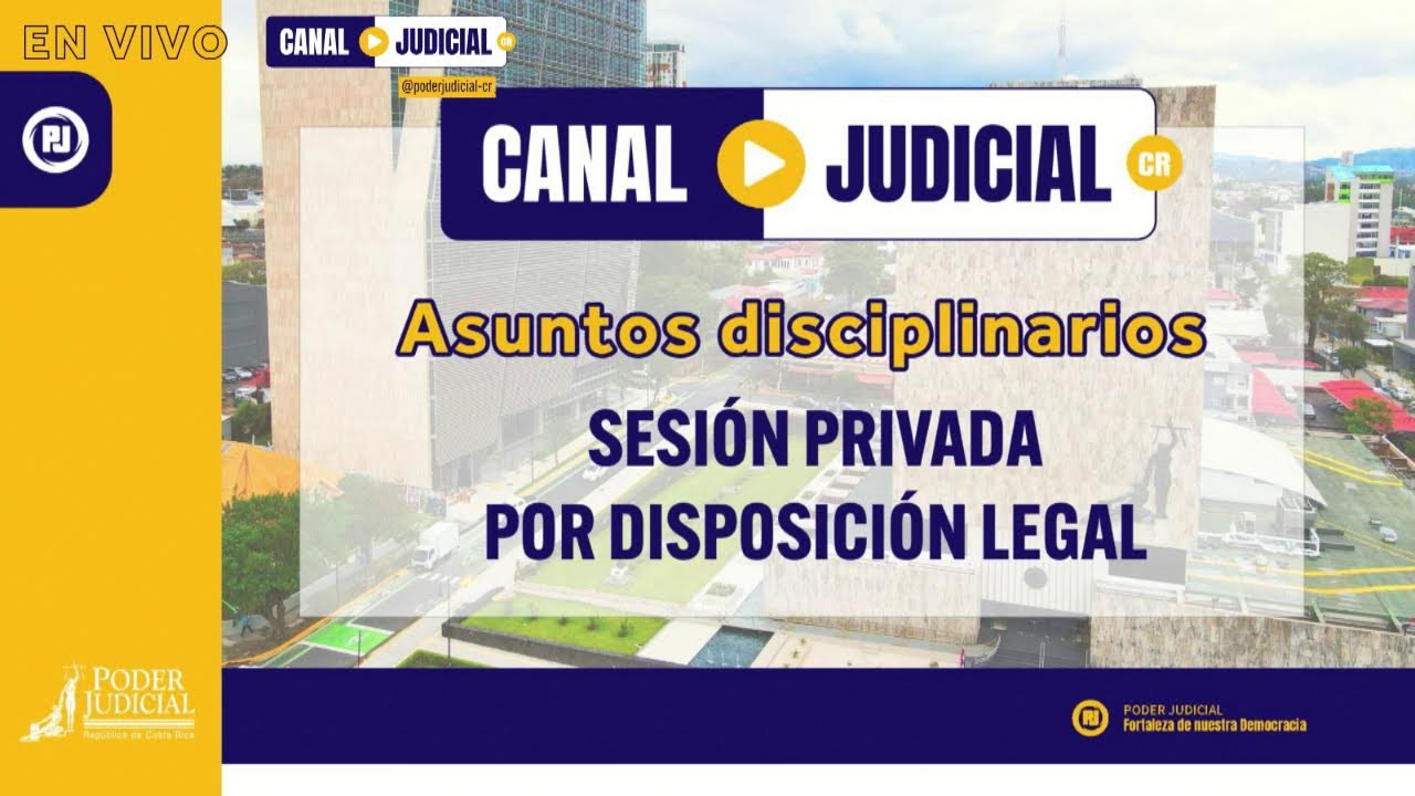 Corte Plena del 19 de enero de 2026, Segunda audiencia (II).