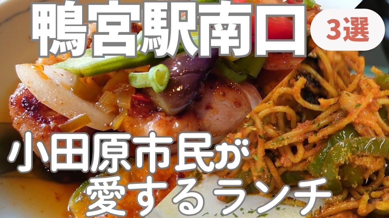 【鴨宮駅南口で発見🔍】隠れた名店の絶品ﾗﾝﾁ3選✨ 《Found at Kamonomiya Station South Exit》3 Exquisite Hidden-Gem Lunches✨