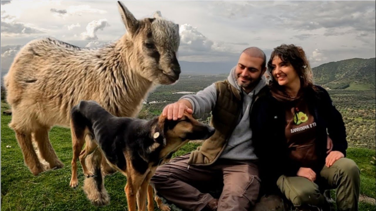 ЛЮБОВЬ в деревне - это другое | Повседневная деревенская жизнь семьи в Турции