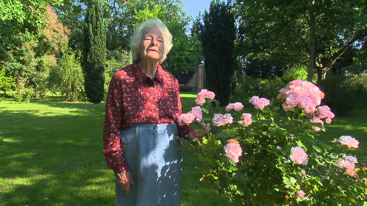 Jardin de Normandie : les jardins et roseraie du Château de Miserey