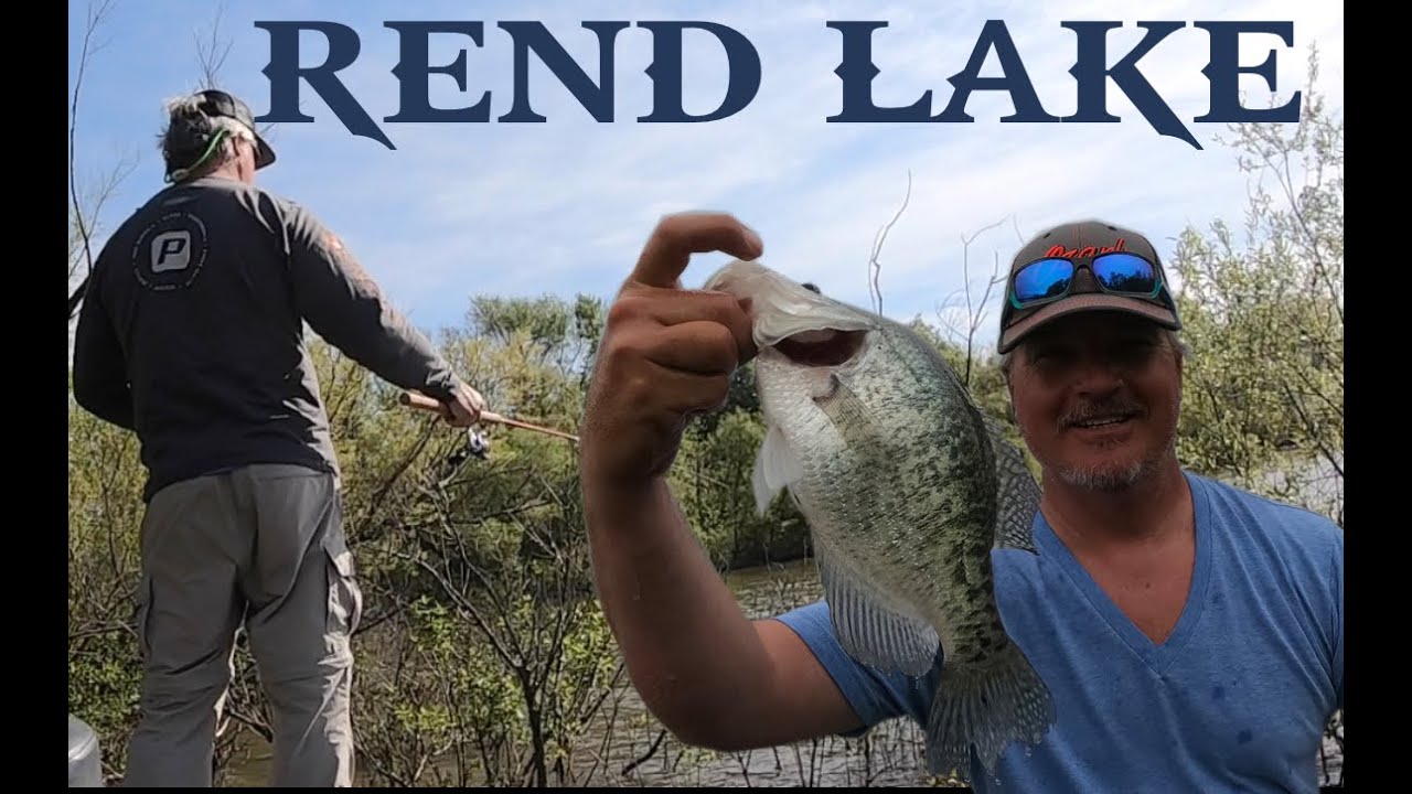 Rend Lake Spawning Crappie in the Buck Brush