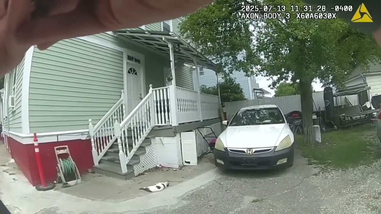 ICE Agents Raid and Arrest MS-13 Gang Members Body Cam Footage Part 2 