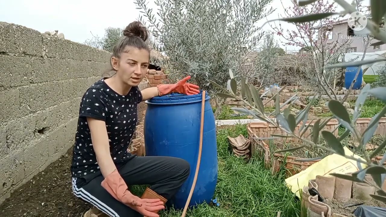 ISIRGAN OTUNDAN AZOT GÜBRESİ YAPIMI