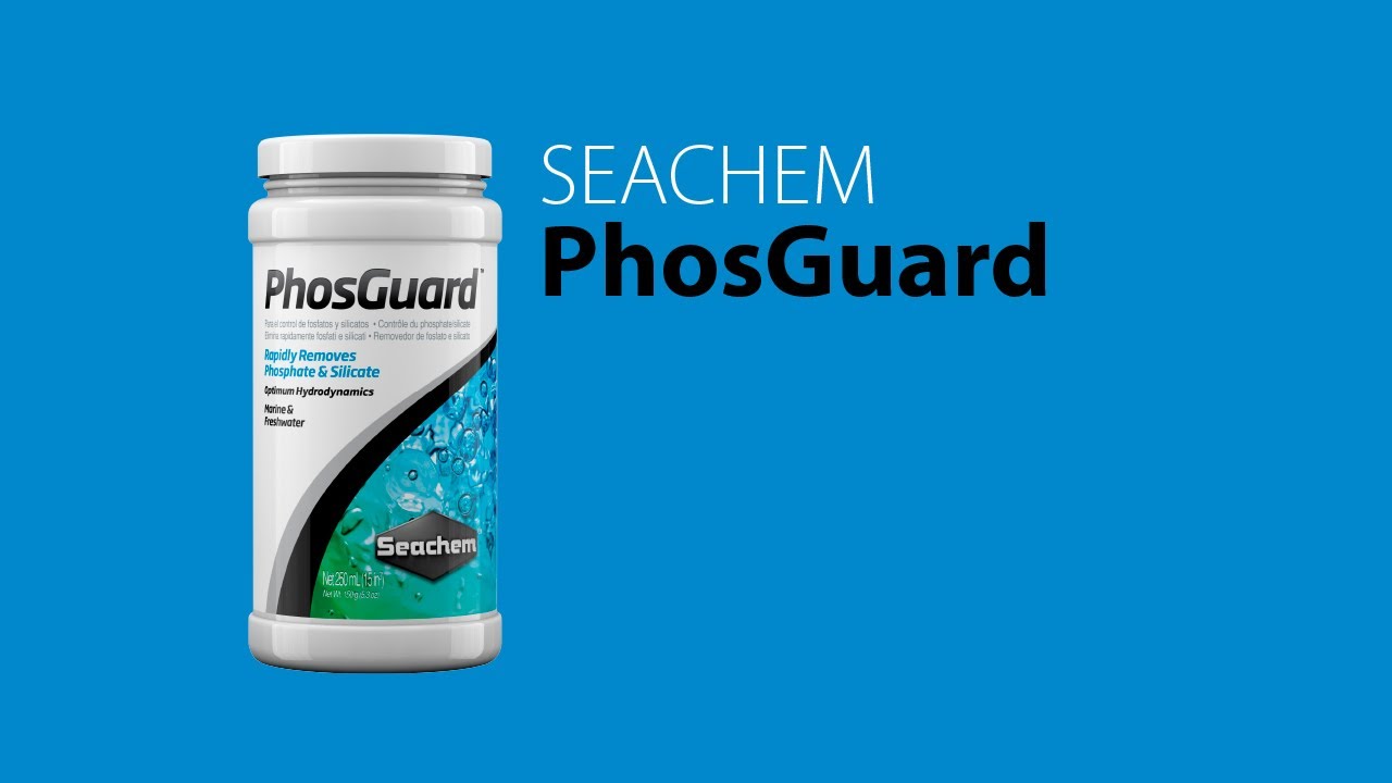 Seachem Phosguard - Cara Kawal Lumut Dalam Akuarium