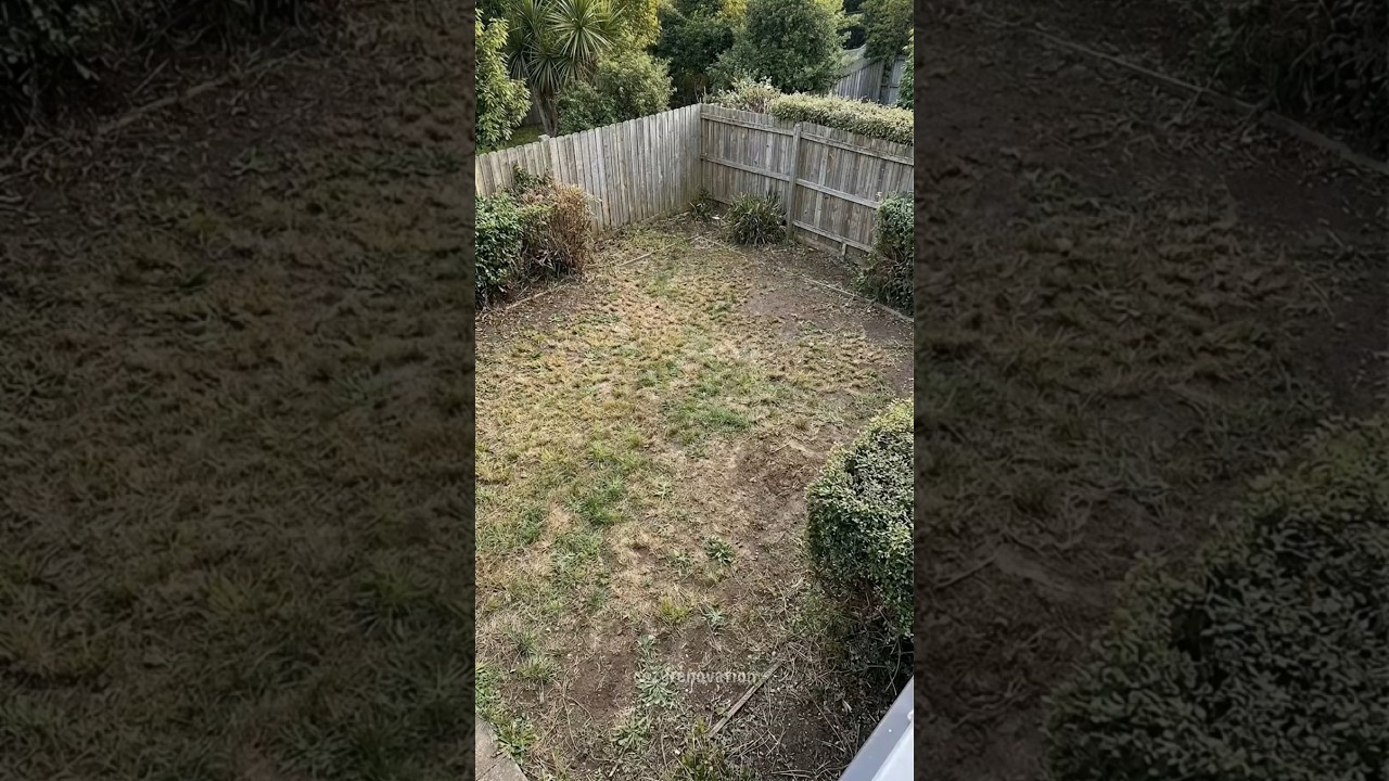 Ultimate Backyard Makeover: Modern DIY Ideas 🏡