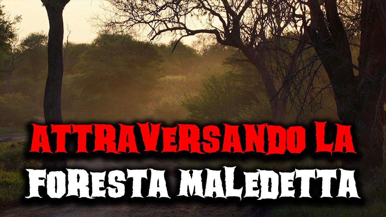 Attraversando la foresta maledetta - Racconti Horror 348