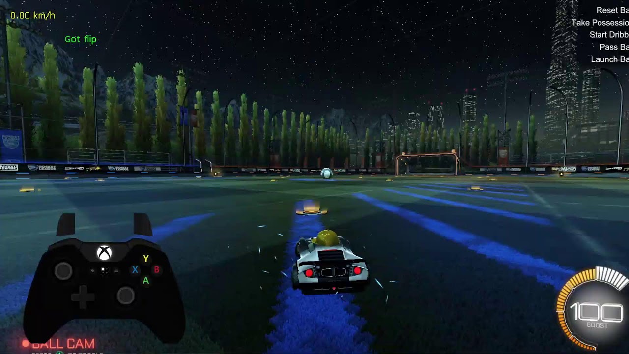 BlueRacerGaming Live Stream