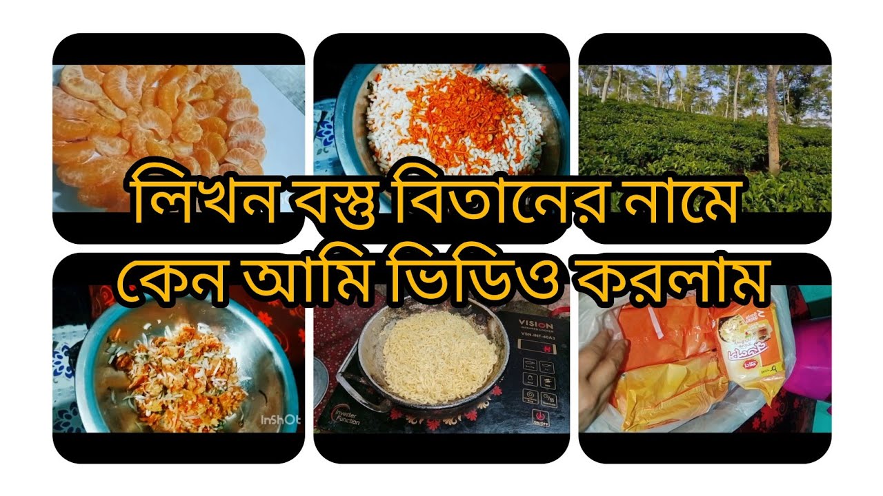 লিখন বস্ত বিতানের নামে কেন আমি ভিডিও করলাম। লিখন বস্ত বিতান আমার সাথে কি করেছে।