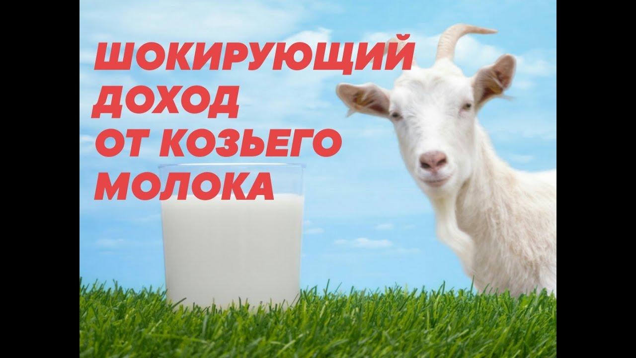 СЕБЕСТОИМОСТЬ КОЗЬЕГО МОЛОКА. ВЫ УПАДЁТЕ
