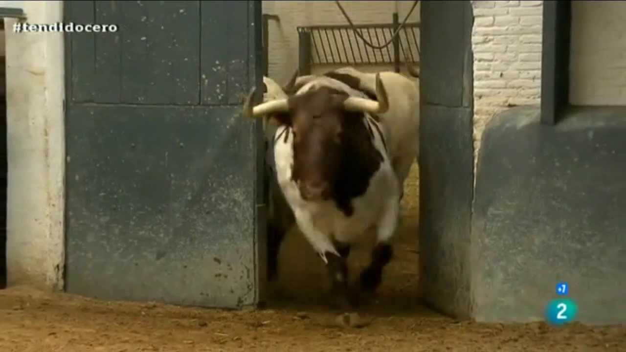 Reportaje sobre Florito (1ª parte)