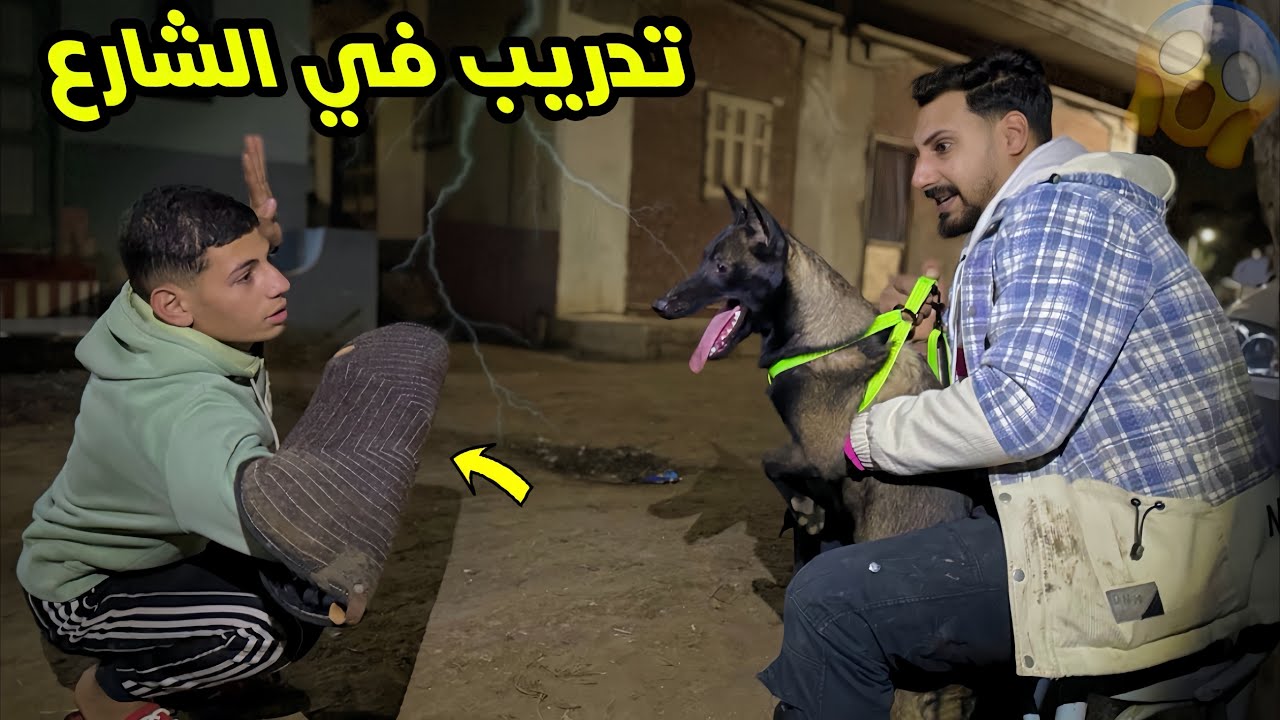 تمساحه نزلت الشارع وبهدلت الدنيا😱