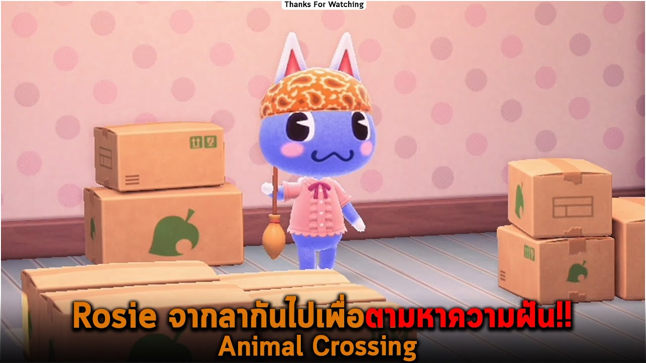 Rosie จากลากันไปเพื่อตามหาความฝัน  Animal Crossing