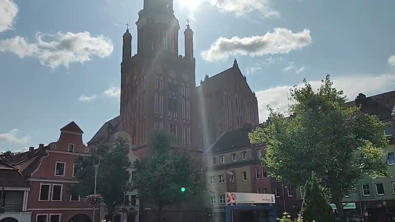 Piękna Mewa w Stargardzie na Starówce.