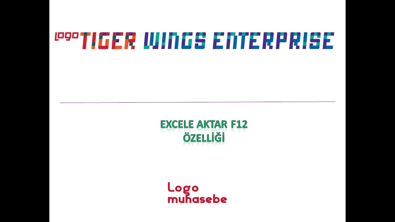 Logo - Excel'e Aktar Özelliği (F12)