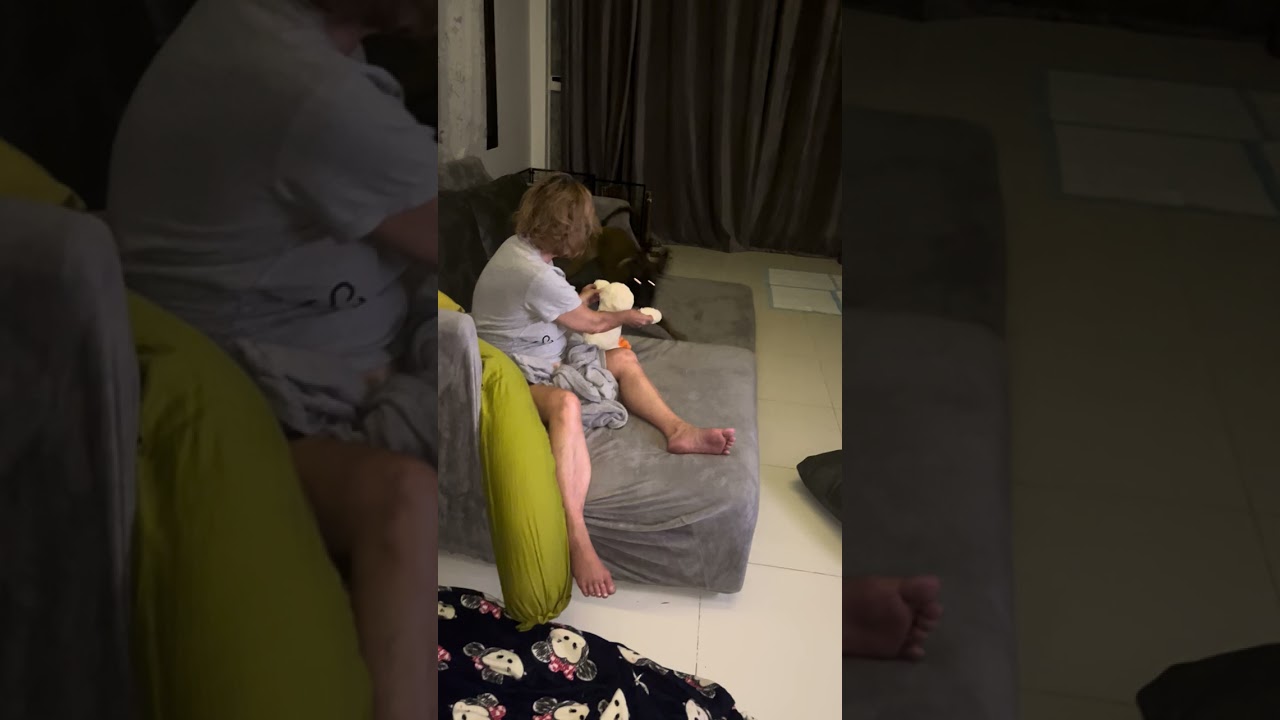 Our Malinois, Charlie, loves bedtime stories.Чарли любит сказки на ночь