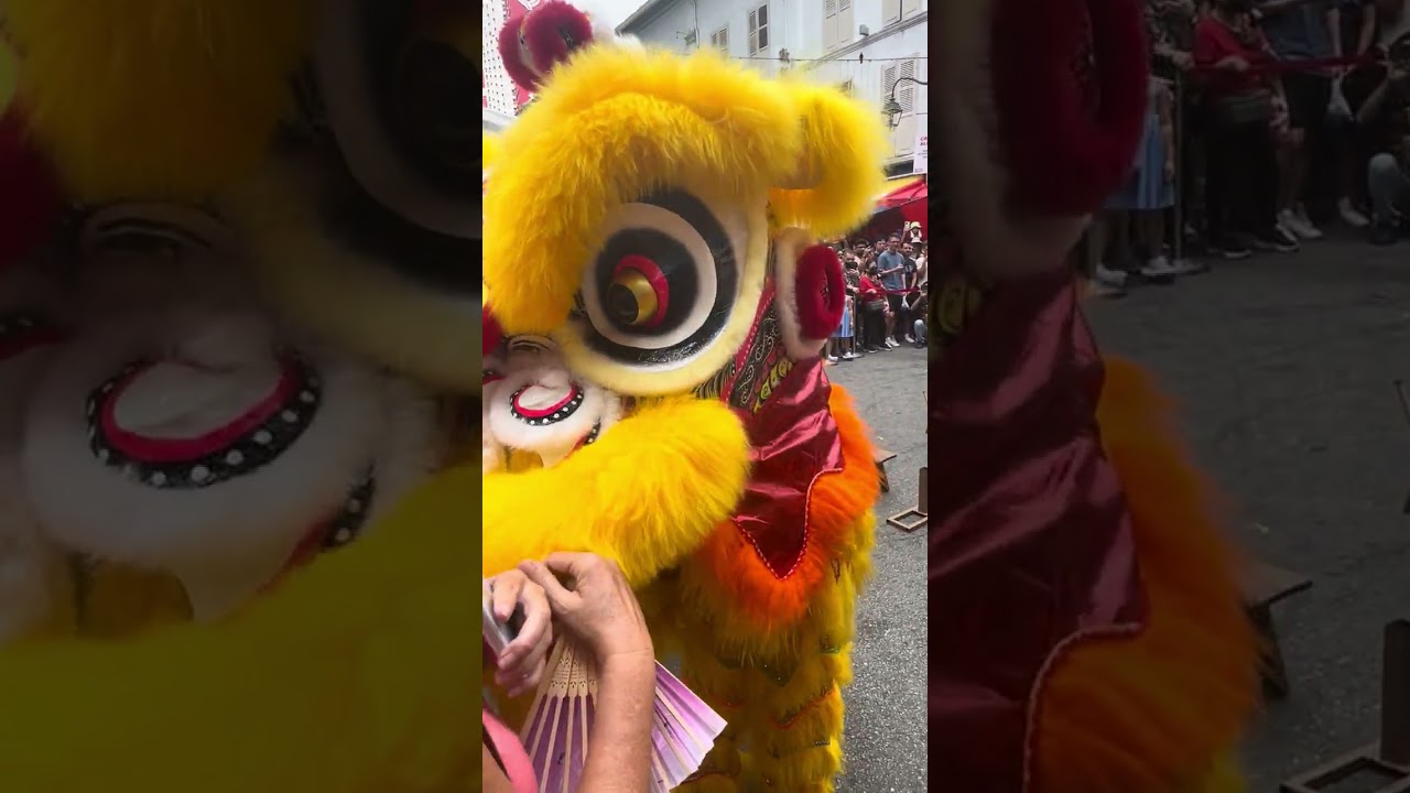 Lion dance at Chinatown Smith Street